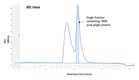 Development Of A Size-Exclusion Chromatography Method To