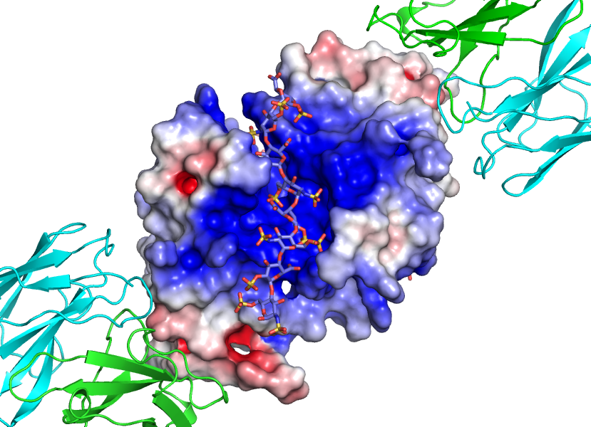 X-ray structure of G6b-B - x-ray crystallography | Peak Proteins