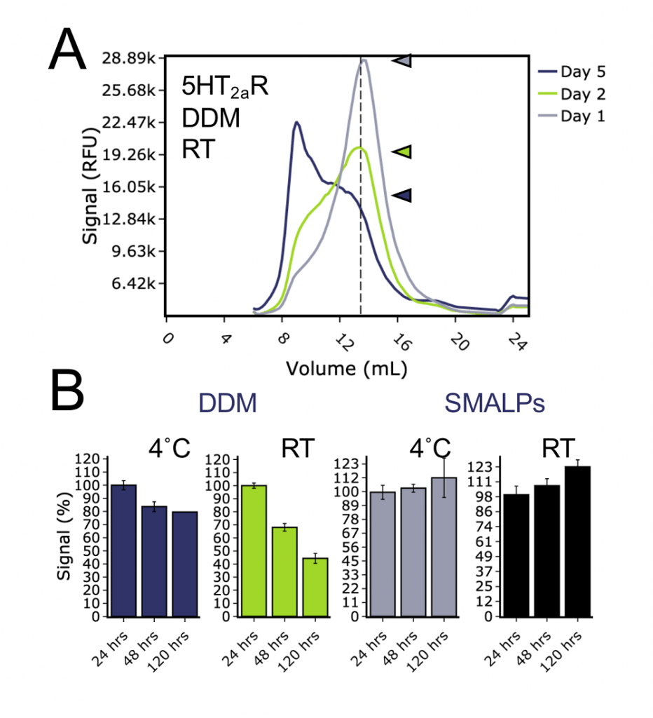 Stability of 5HT2aR solubilised in detergent or SMA over five days