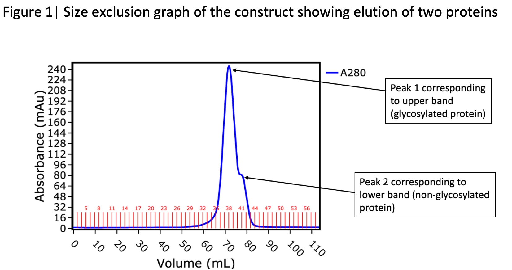 Using Peptide Mapping To Reveal Glycosylated And Non Glycosylated Protein Forms Peak Proteins