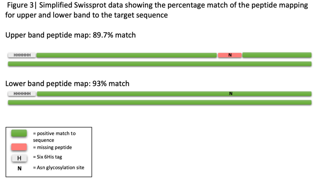 Figure 3 Peptide Mapping Case Study