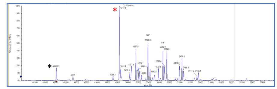 Intact mass spectrometry results 