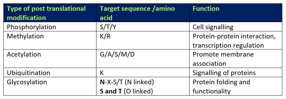 Beginners guide to glycosylation of proteins 