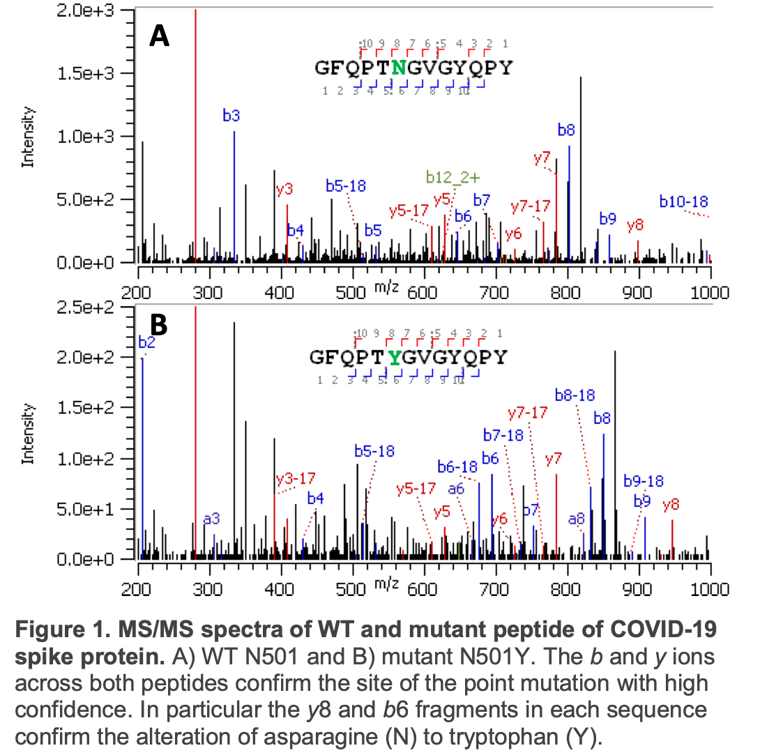 Use of Mass Spectrometry to Assist Production of SARSCoV- 2 Spike Protein Characterisation | Peak Proteins
