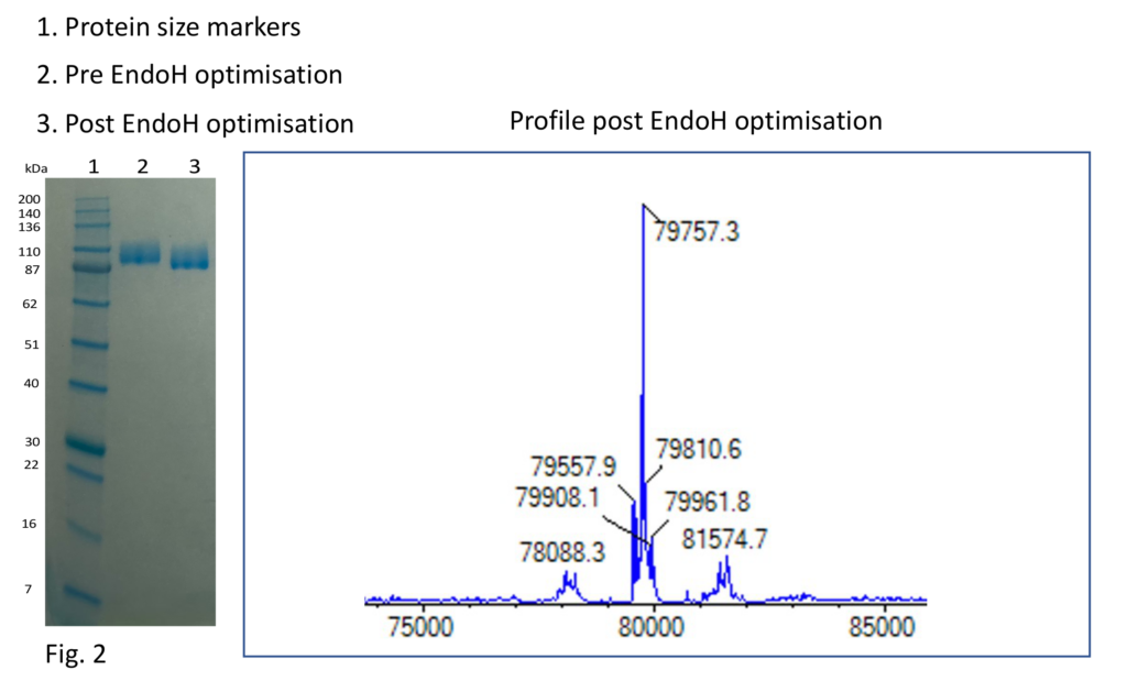 Scott blog fig2