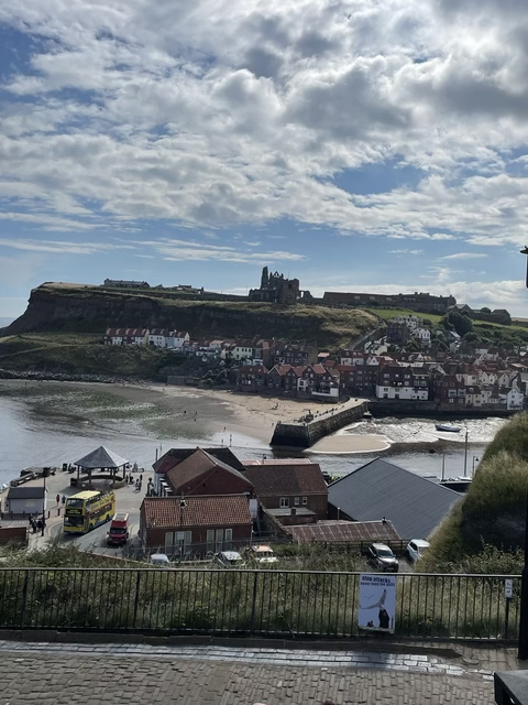 Mark Elvin | Whitby