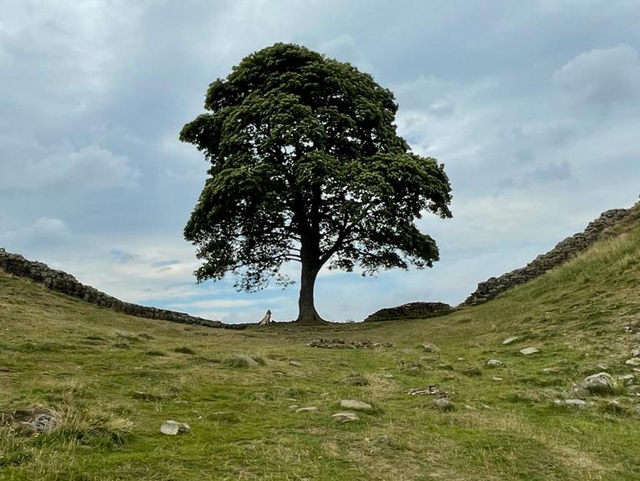 Hadrian's Wall