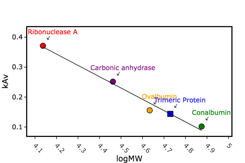 Figure 1c: Calculation of the apparent mass of the size exclusion peak for the target homotrimeric protein (with either foldon or 3HB trimerization domain)