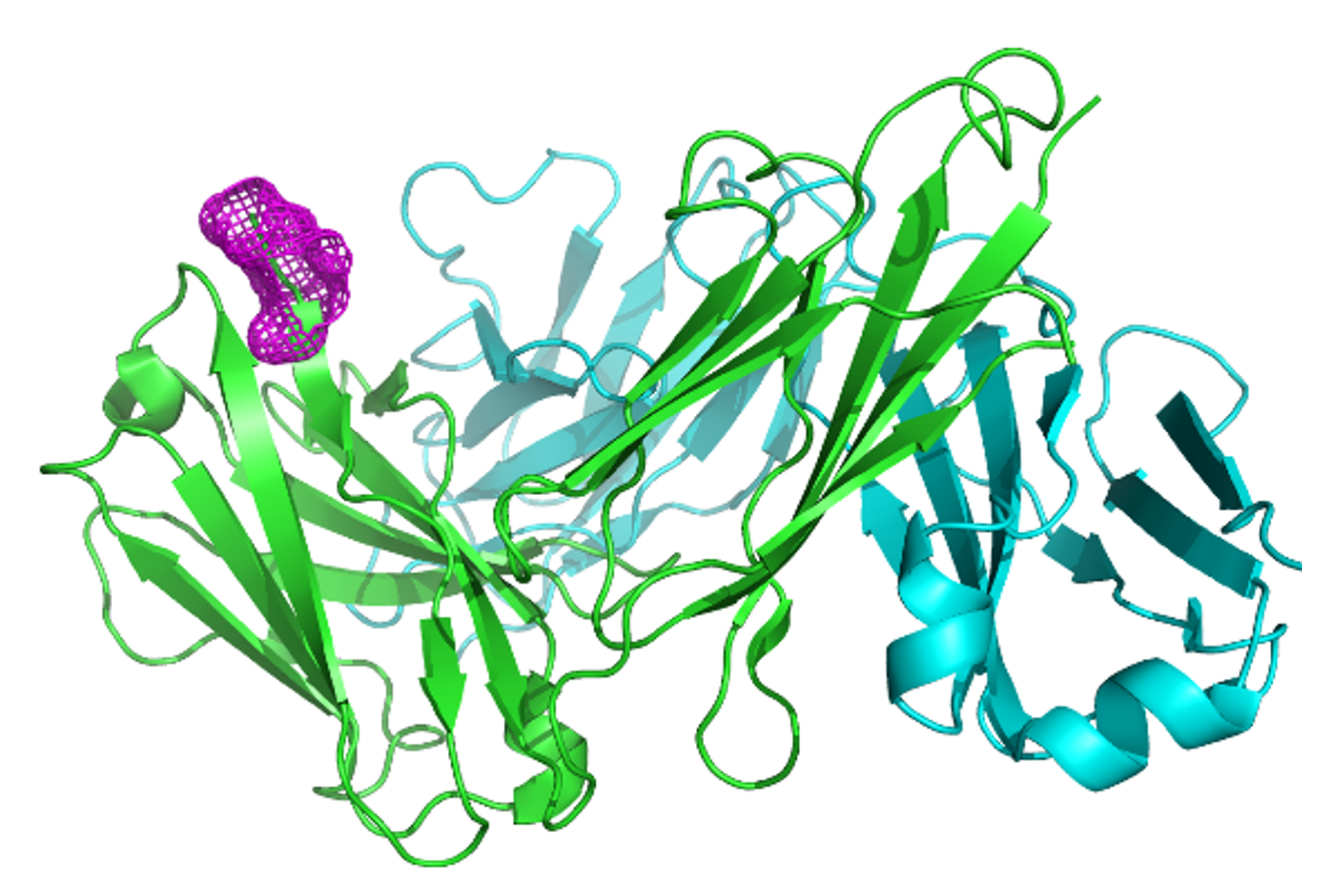 Fab with EVQ highlighted figure 2