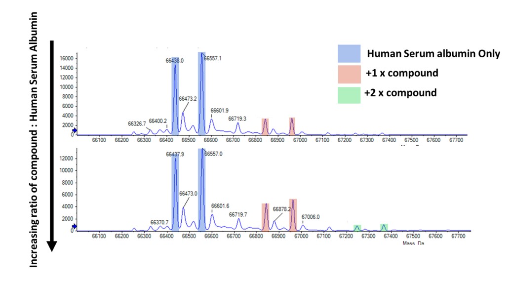 Covalent Compound Mass Spec Fig 4