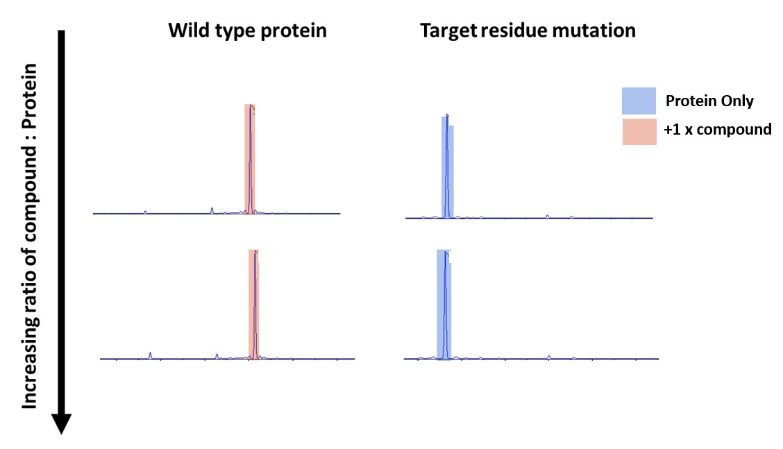 Covalent Compound Mass Spec Fig 6