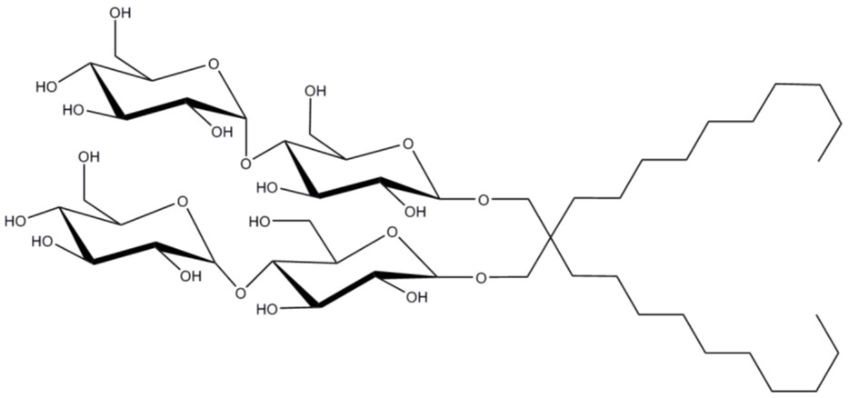 Figure 5 LMNG