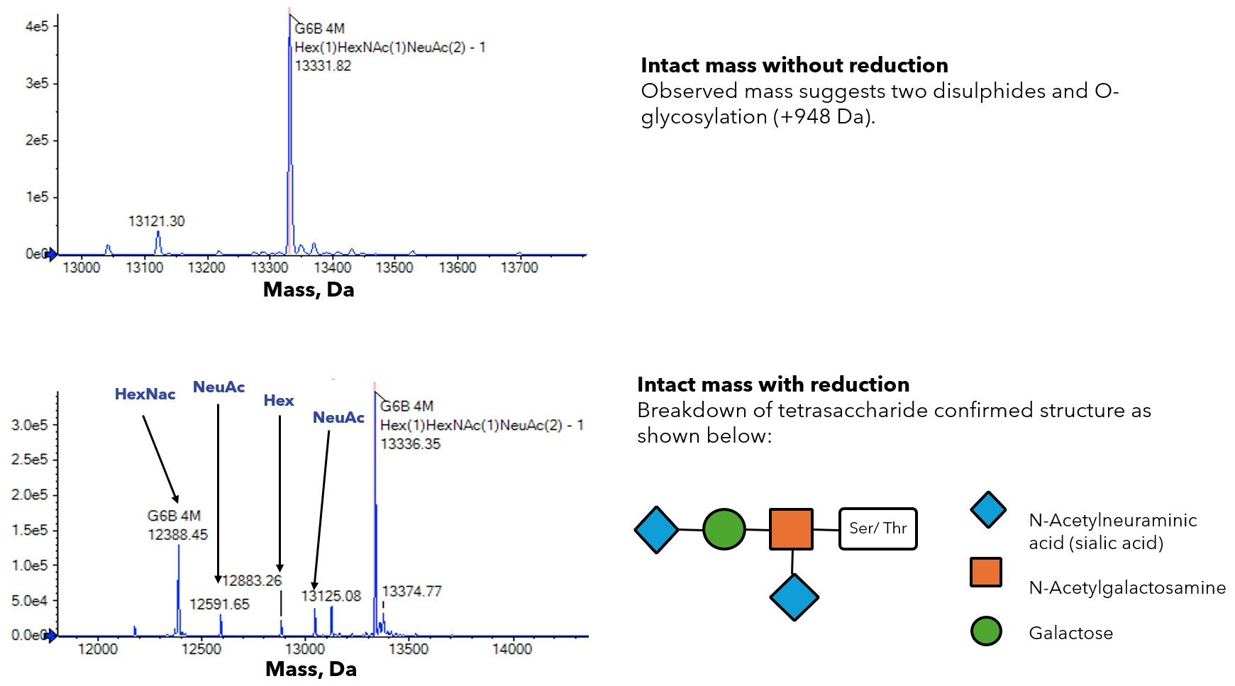 G6B O linked glycosylation Fig 1