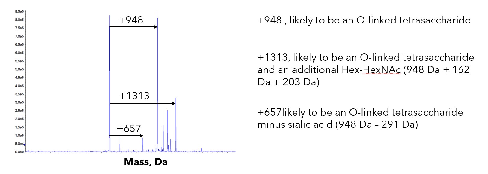 G6B O linked glycosylation Fig 3