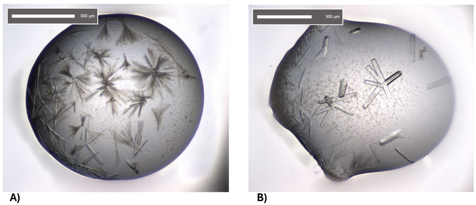 Figure 1 FBDD crystals before and after optimisation