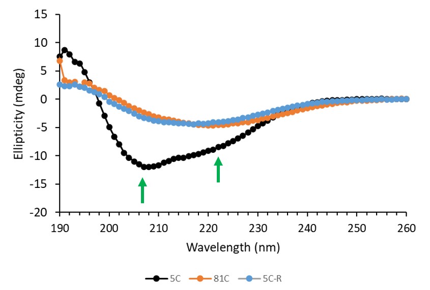 Figure 6 CD Spectra of IDP target