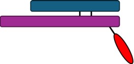 Figure 1 Target API