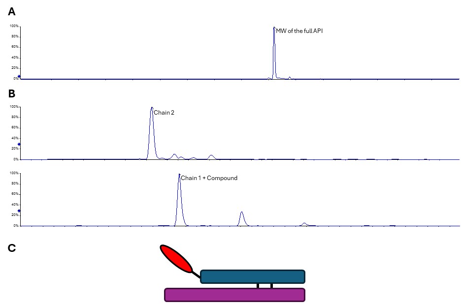 Figure 3 Reduced Mass spec of chains