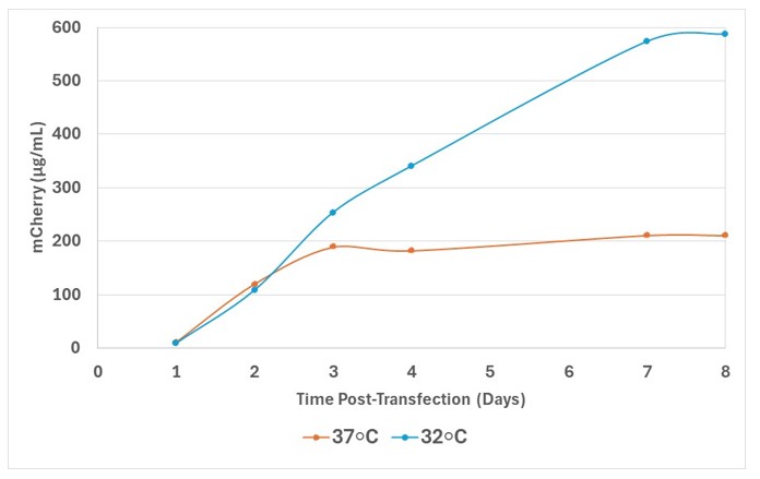 Figure 2 mCherry in ExpiCHOS at 32 Vs 37oC Figure 2 mCherry in ExpiCHOS at 32 Vs 37oC