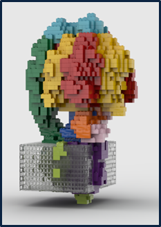 Lego ATP Synthase Lego ATP Synthase