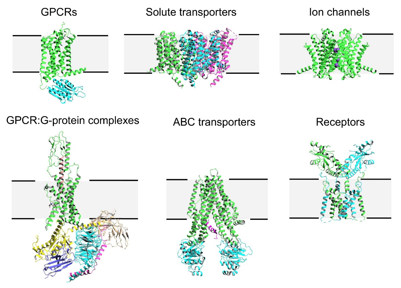 Multi pass alpha helical membrane proteins Multi pass alpha helical membrane proteins