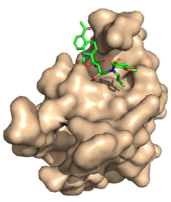 NMR protein with ligand