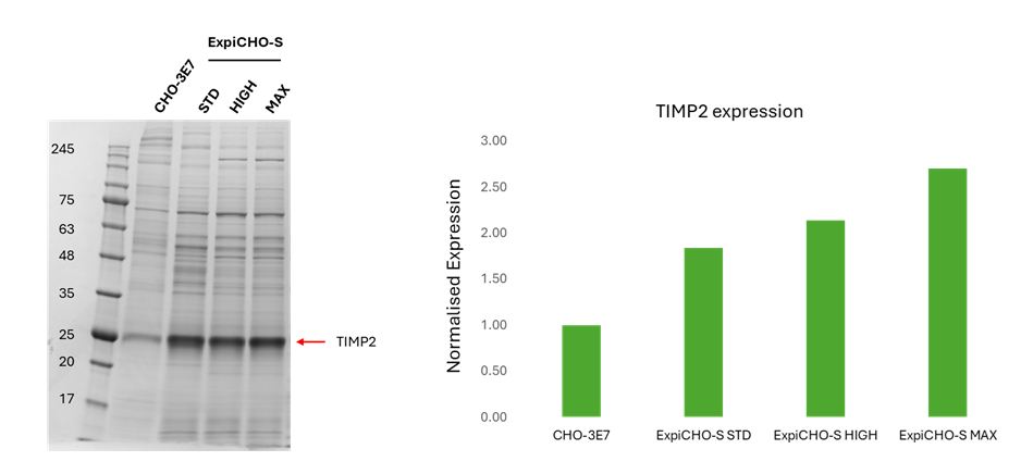ExpiCHO Fig1