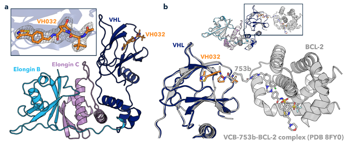 VCB VH032 structure BCB VH032 structure