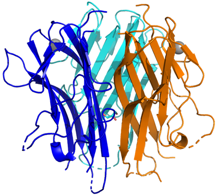 Sygnature TL1A Structure Sygnature TL1A Structure